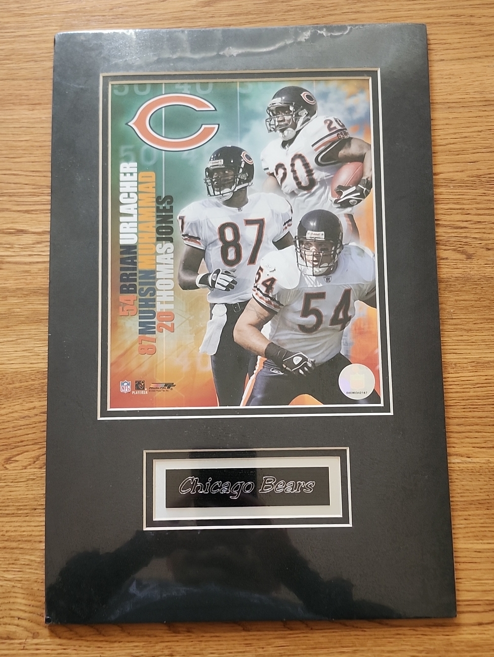 NFL Bears Black Framed Wall Art NFL Licensed